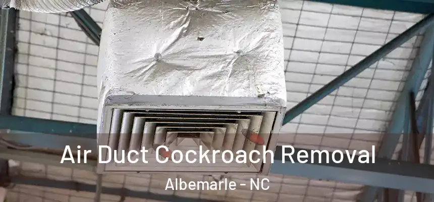  Air Duct Cockroach Removal Albemarle - NC