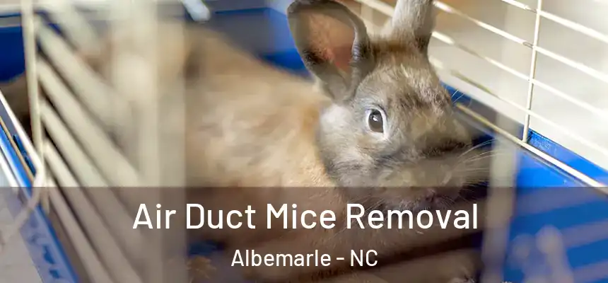 Air Duct Mice Removal Albemarle - NC