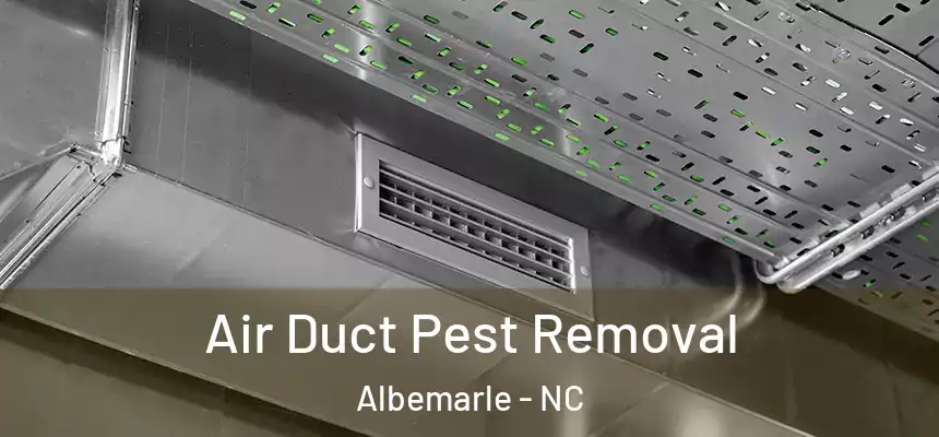 Air Duct Pest Removal Albemarle - NC