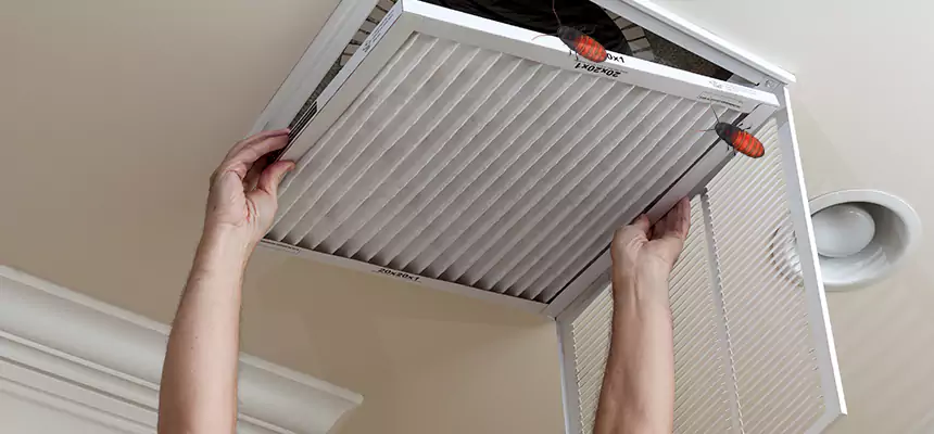 Preventive Cockroach-Proofing for Ducts in Albemarle
