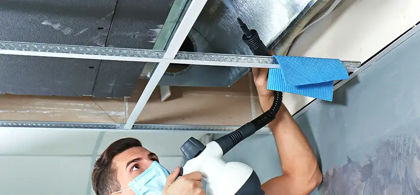 Our Air Duct Rodent Removal Services in Albemarle, NC