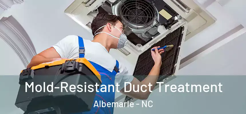  Mold-Resistant Duct Treatment Albemarle - NC