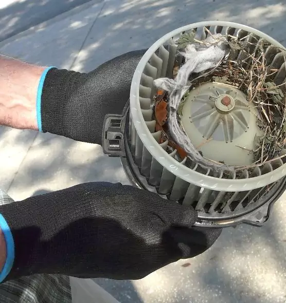 About Air Duct Mice Removal in Albemarle, NC