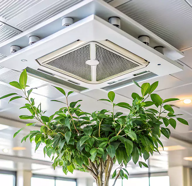 Why Homeowners & Businesses Trust Us in Albemarle, NC?